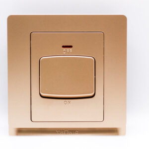 45A Double Pole Switch